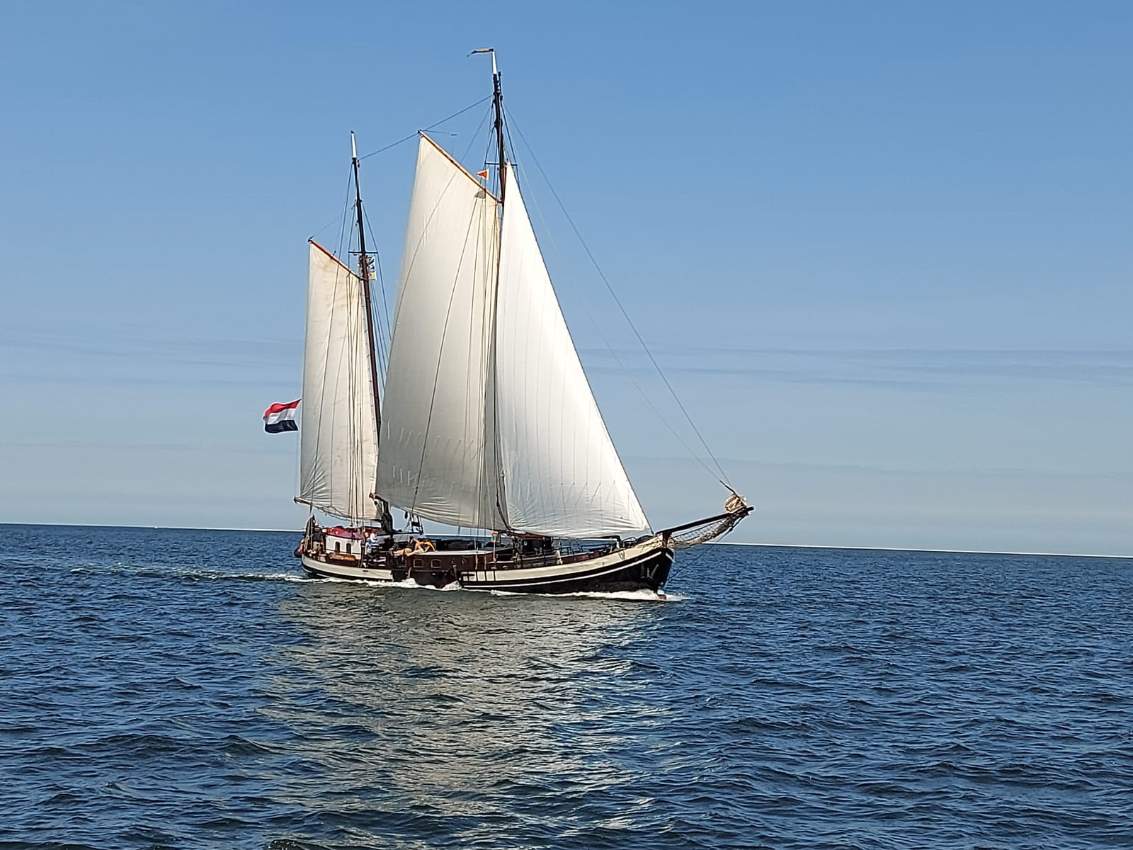 Minerva sailing on blue water