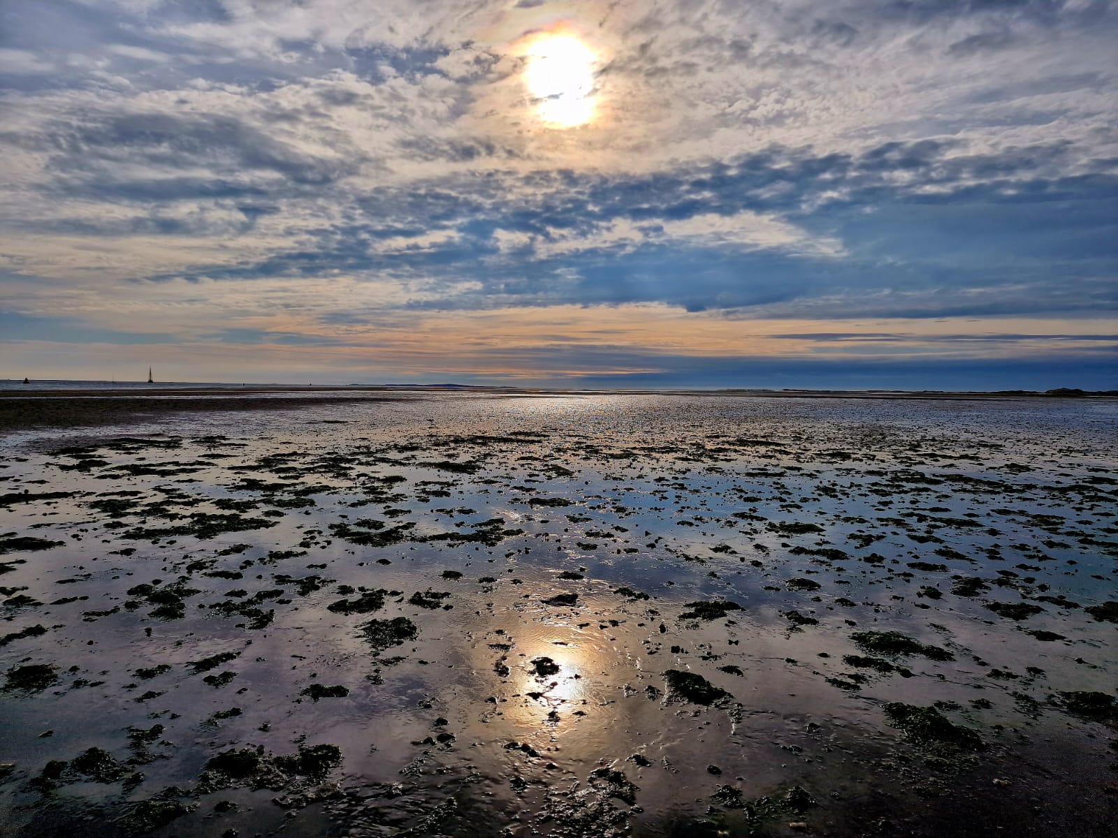 Mudflats at sunset
