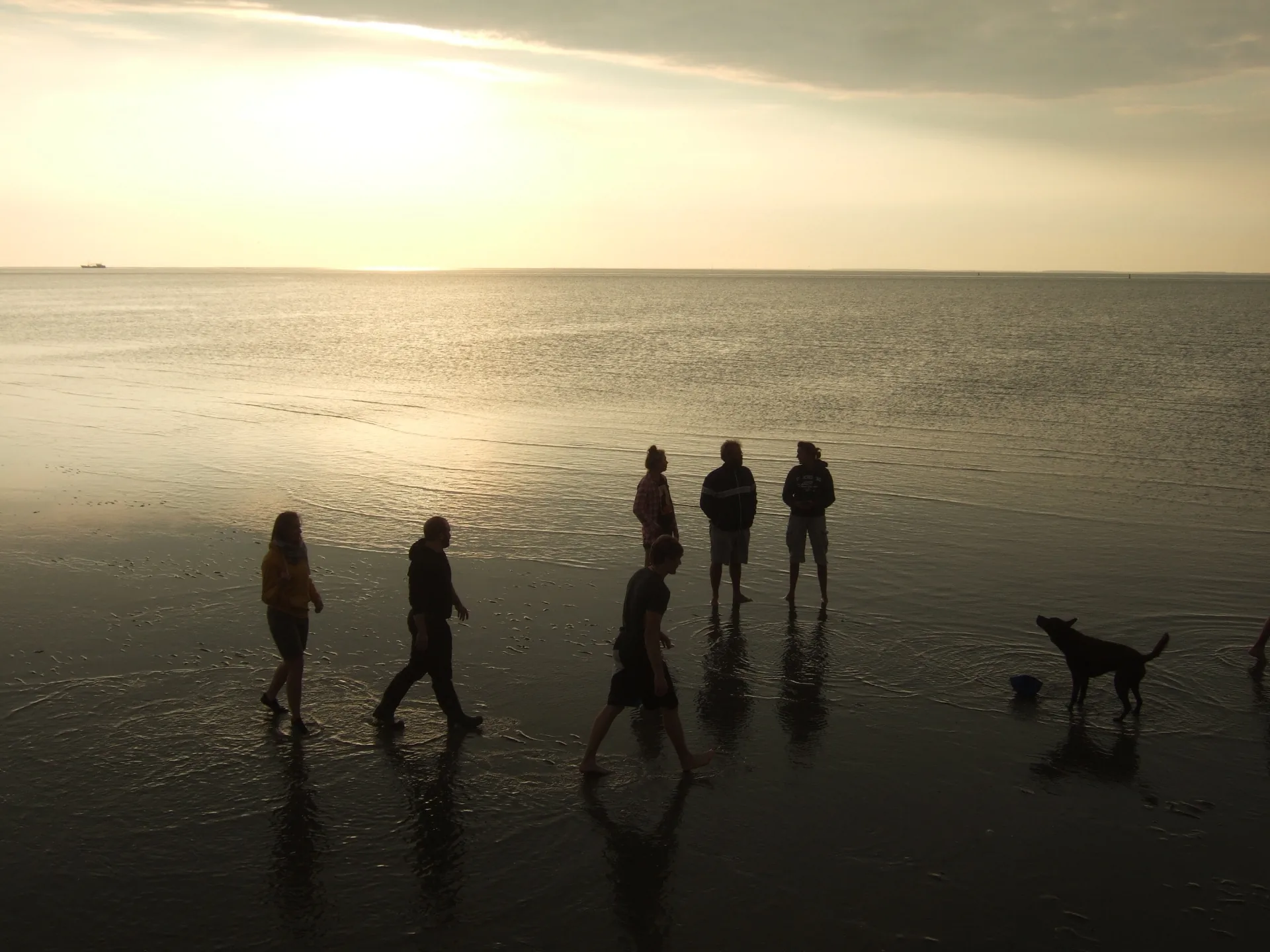 Walking on mudflats at sunset