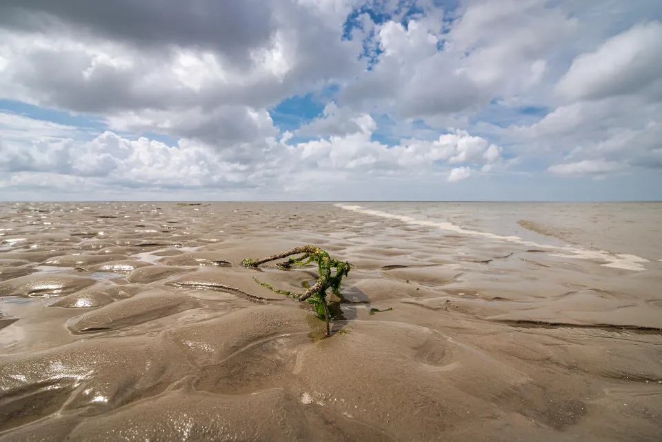 Gewelltes Sand im Watt unter bewölktem Himmel