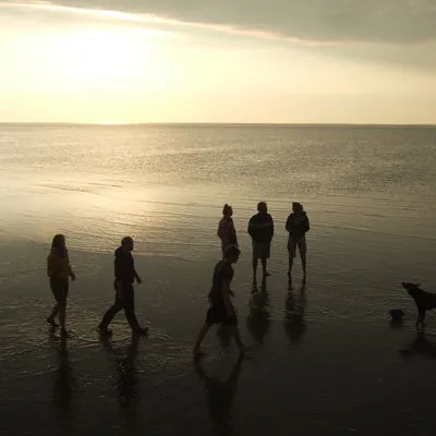 Freunde wandern mit einem Hund über das Watt