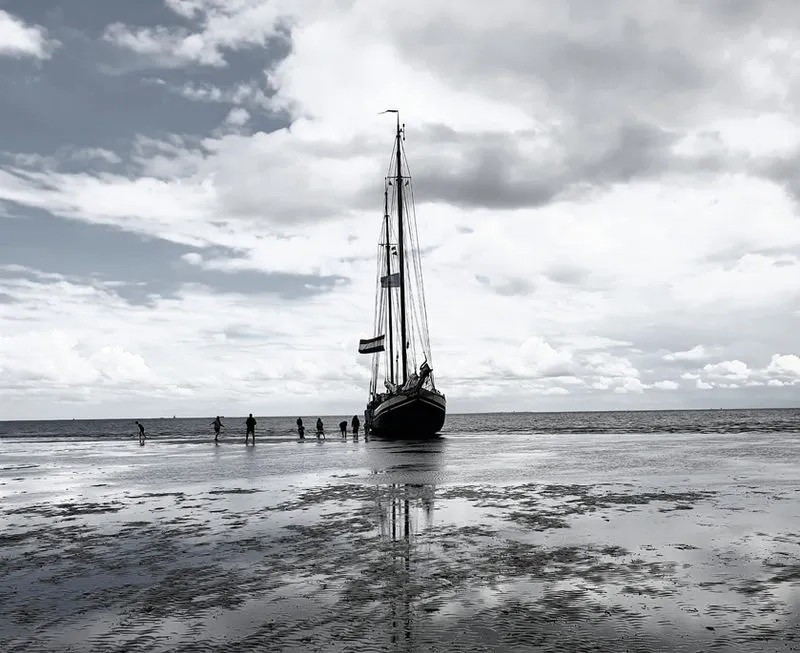 Das Wattenmeer